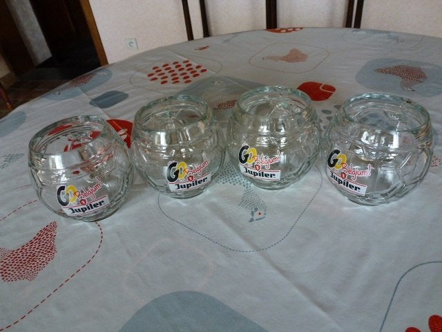 Bier glazen van Aalst Carnaval en anderen, Ophalen of Verzenden, Gebruikt, Bierglas