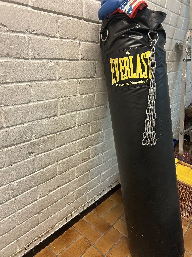 Everlast Bokszak met bokshandschoenen, Ophalen, Zo goed als nieuw, Bokszak