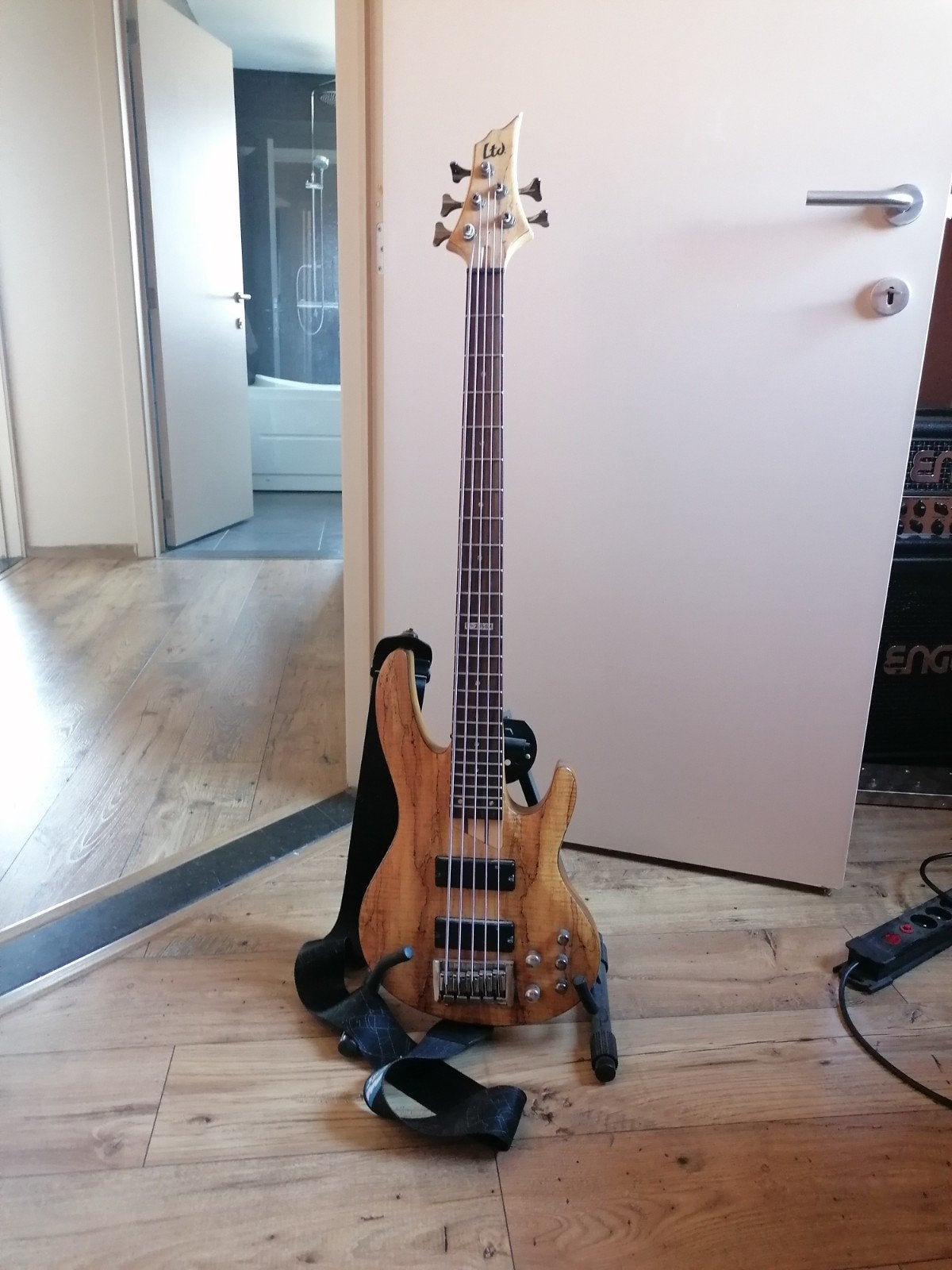 Te ruil esp ltd 5 string, Muziek en Instrumenten, Snaarinstrumenten | Gitaren | Bas, Ophalen, Zo goed als nieuw, Elektrisch, 5-snarig