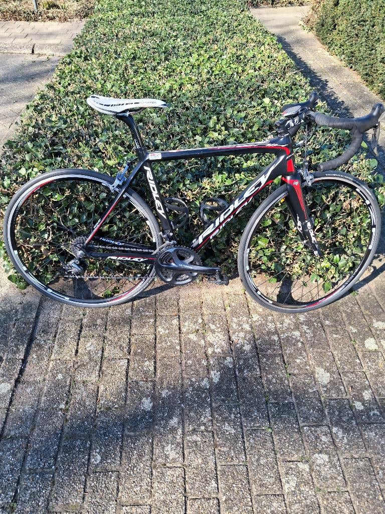 Racefiets Ridley maat S, Fietsen en Brommers, Ophalen, Carbon