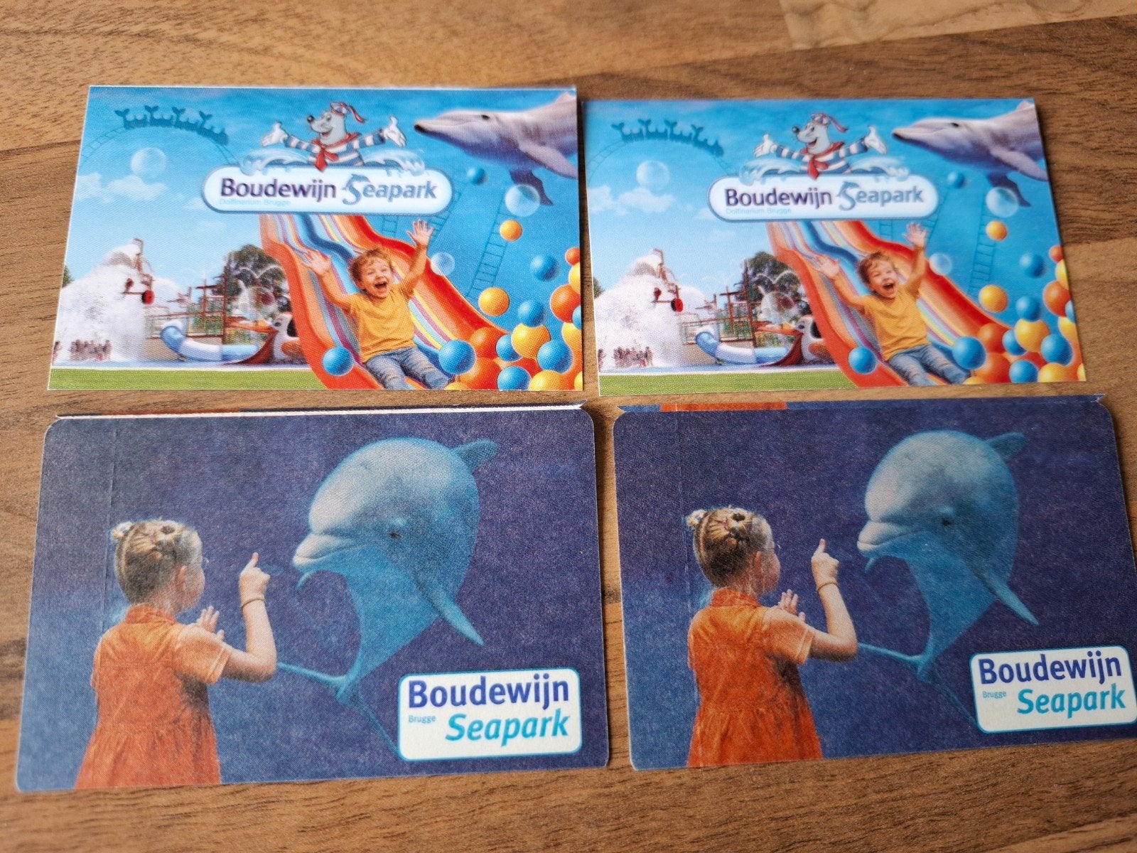 4 tickets geldig van 30/10 tot 30/11 schaatsbaan Brugge, Tickets en Kaartjes, Drie personen of meer