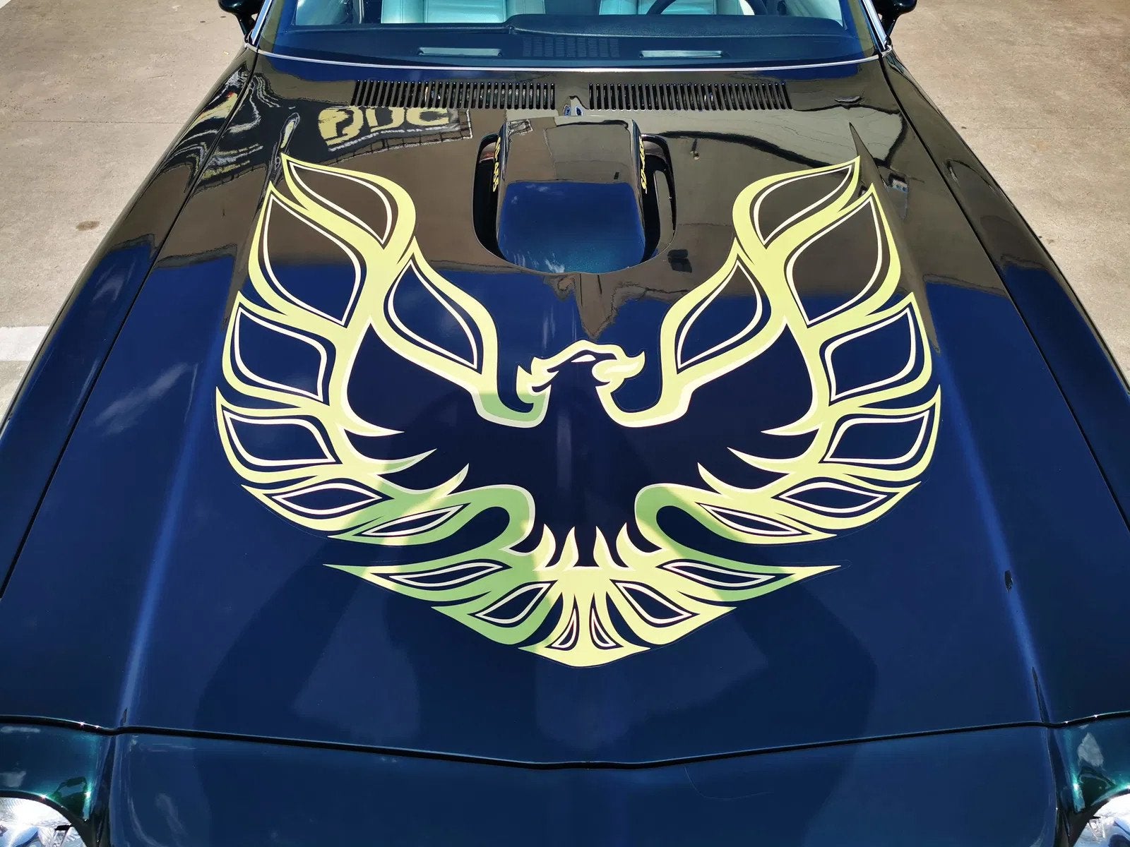 Pontiac Trans AM Firebird (bj 1974, automaat), foto 5