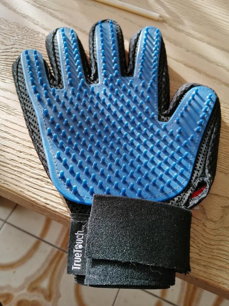 borstel handschoen voor honden NIEUW, Dieren en Toebehoren, Ophalen of Verzenden, Nieuw