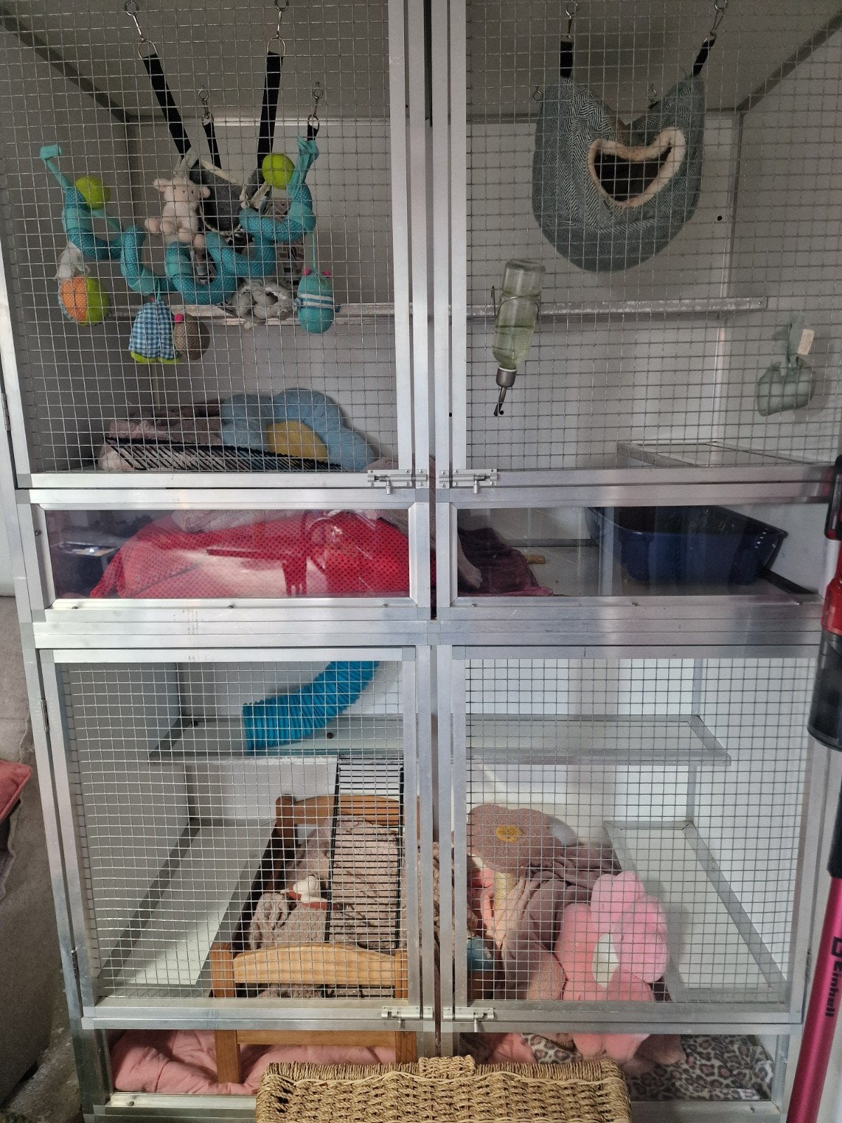 Ratten opvang., Januari