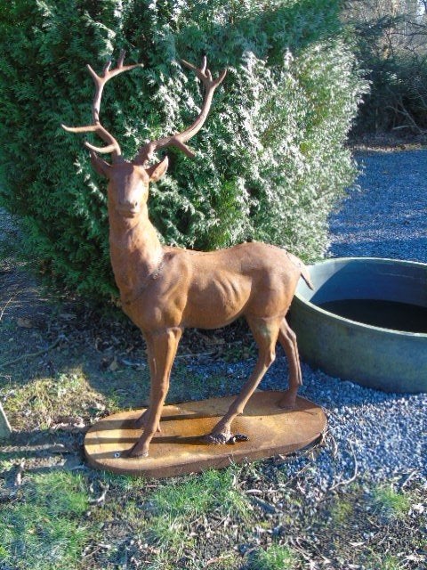 groot staand hert in roestig gietijzer, zie foto's, Tuin en Terras, Ophalen, Nieuw, Metaal, Dierenbeeld