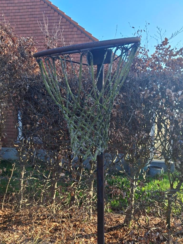 Gratis basketbalring op staander, Ophalen
