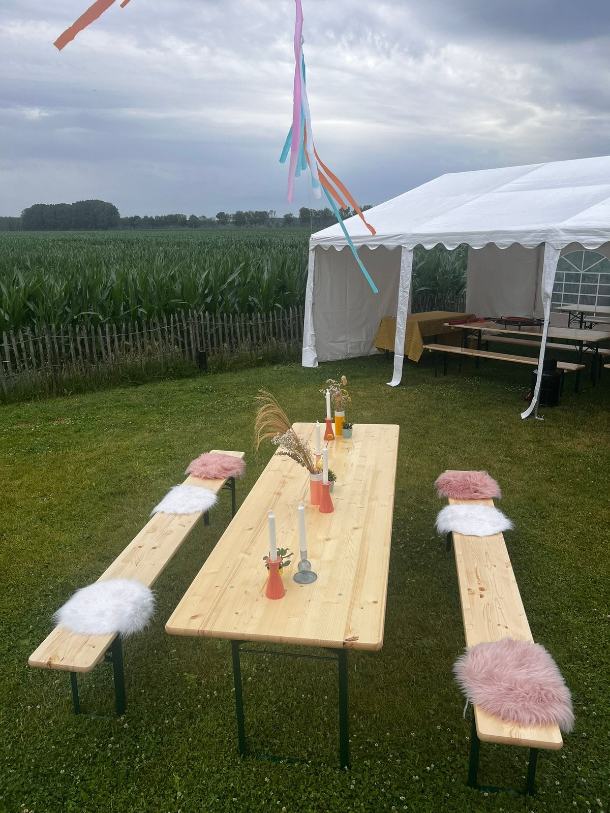 Te huur: biertafels en -banken, Ophalen of Verzenden, Gebruikt
