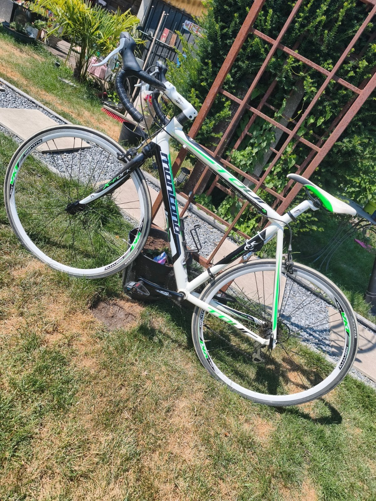 Montana koers fiets, Enlèvement