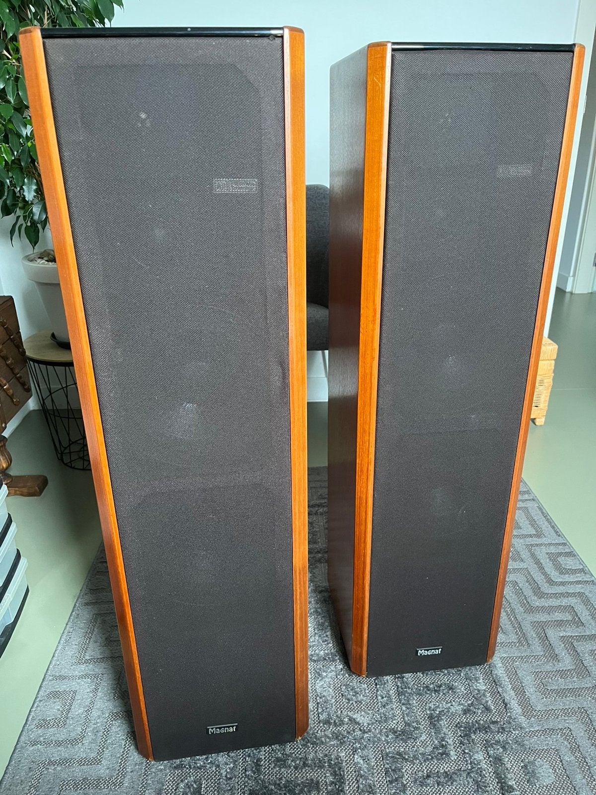 Luidsprekers Magnat MSP 300, Audio, Tv en Foto, Luidsprekerboxen, Vloerstaande luidspreker, Gebruikt, Inclusief kabels, Magnat