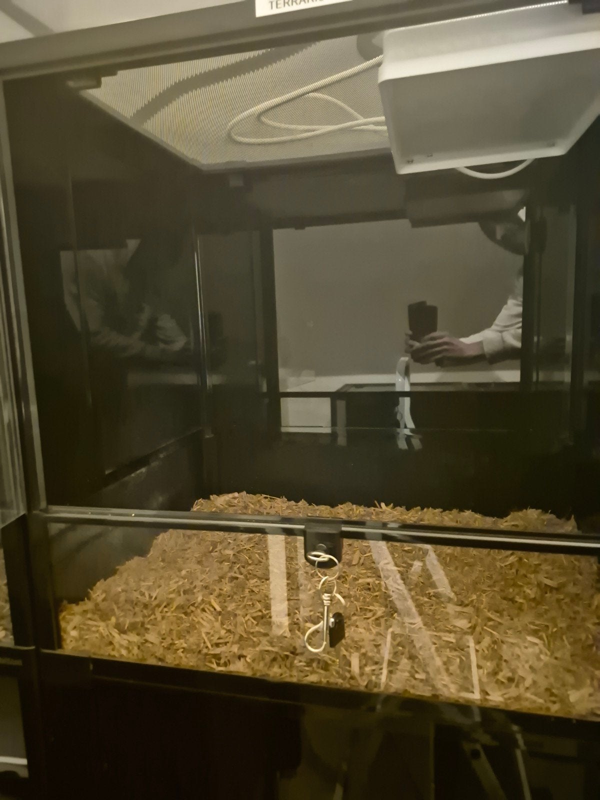 habistat terrarium, Dieren en Toebehoren, Ophalen
