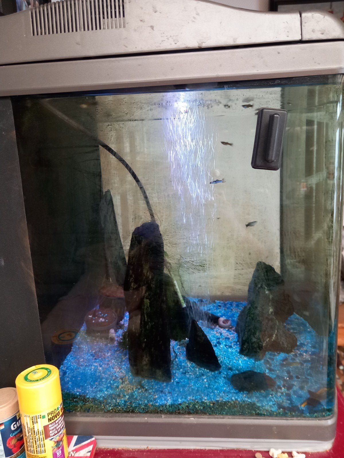 aquarium te koop, Ophalen
