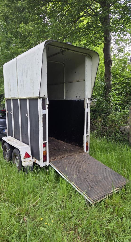 Paardentrailer, Dieren en Toebehoren, Paarden en Pony's | Trailers en Aanhangwagens, Ophalen, Gebruikt