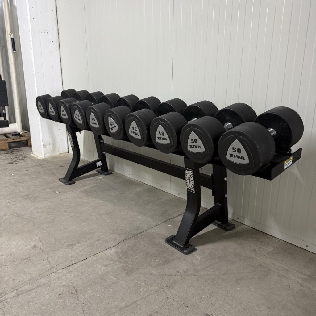 Hammer Strength Dumbellrek + Ziva Dumbells 42 t/m 50 kg, Ophalen of Verzenden, Gebruikt