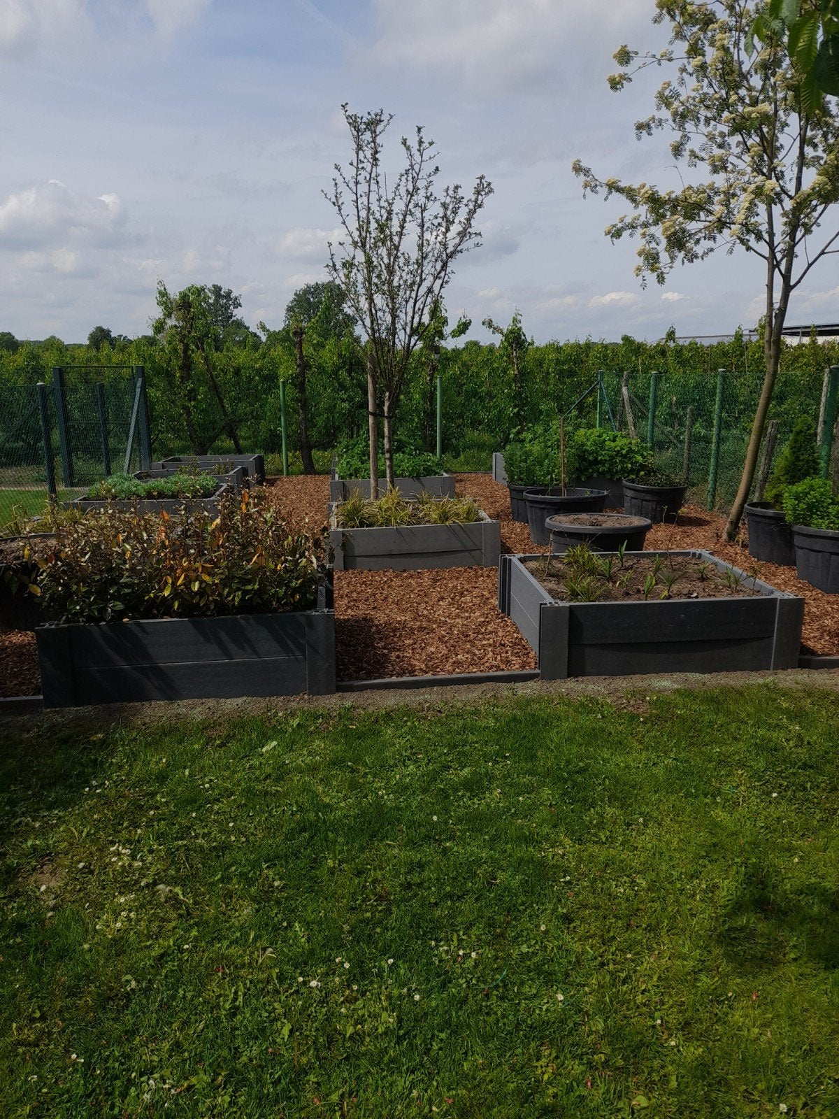 Ecco compostbak 1200x1000 ( Nieuw ), Tuin en Terras, Ophalen