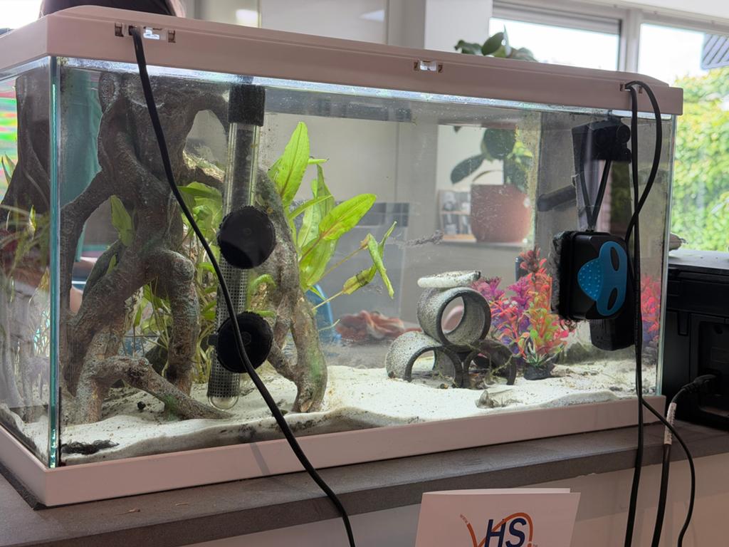 Aquarium Ciano Led met decoratie 60Lx 30bx 35 h wit, Decoratie, Chauffage, Enlèvement, Utilisé