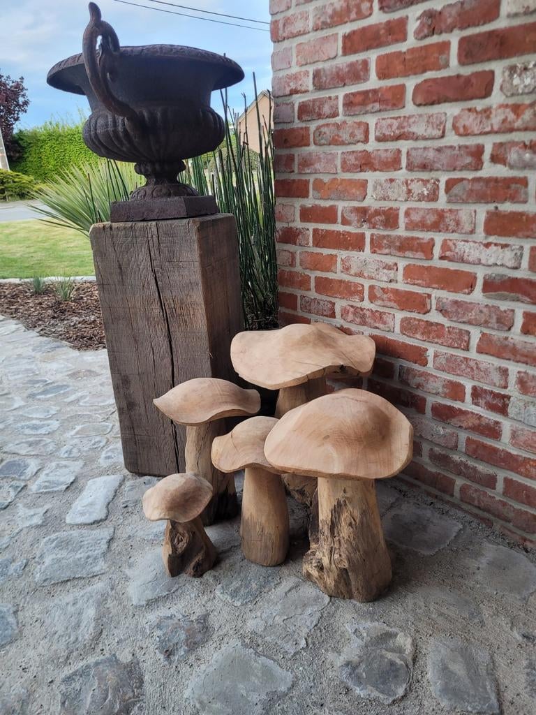 Ensemble de 5 champignons en bois de teck provenant du jardi, Jardin & Terrasse, Décoration murale de jardin, Enlèvement