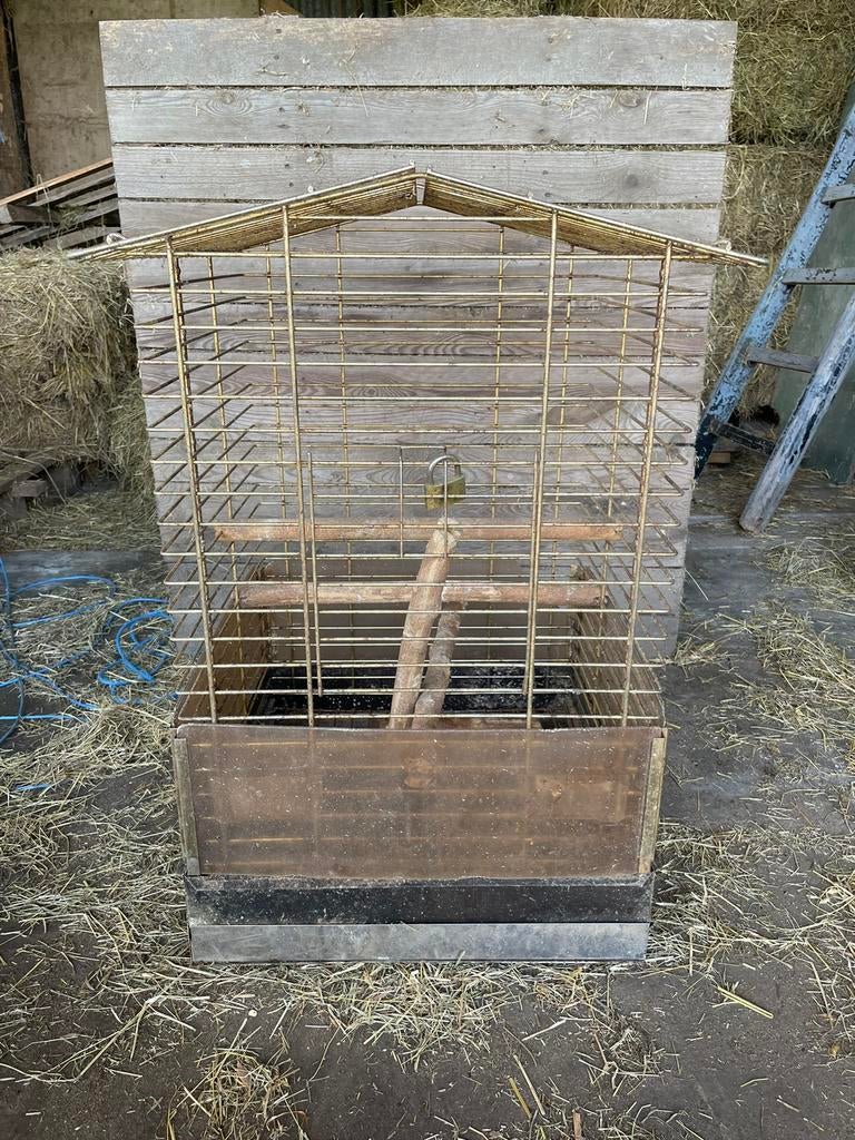 Papegaai kooi, Enlèvement, Utilisé, Métal, Cage à oiseaux
