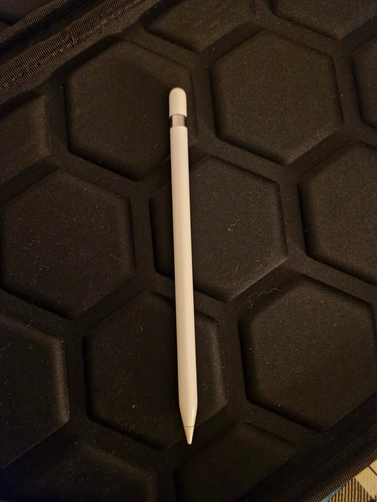 Apple Pencil, Computers en Software, Apple iPads, Ophalen of Verzenden