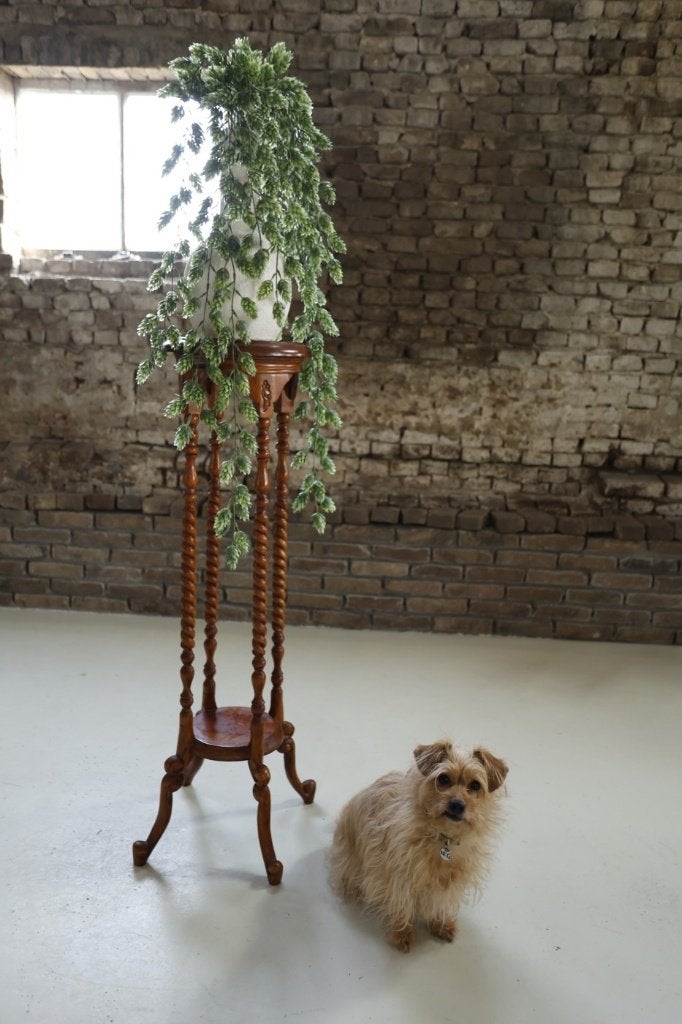 Houten plantenstandaard getordeerde poten, 101 cm, Antiquités & Art, Enlèvement
