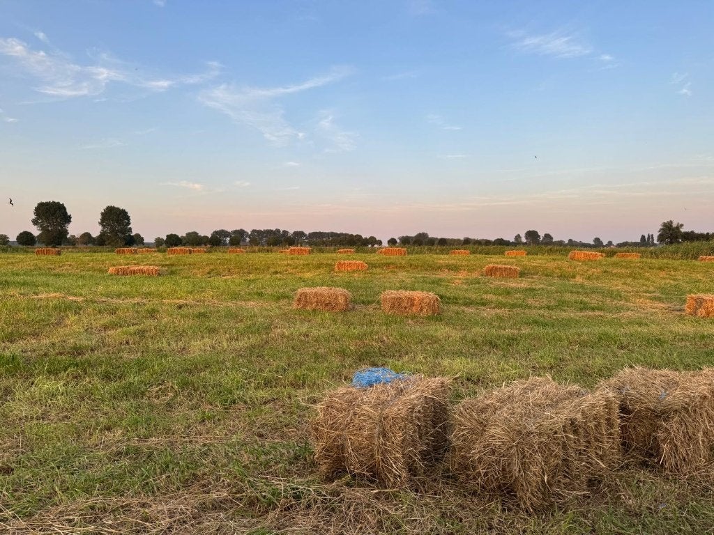 Kleine pakjes hooi, Enlèvement