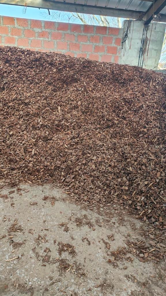 MOOIE SUPERDROGE BOOMSCHORS, Ophalen of Verzenden