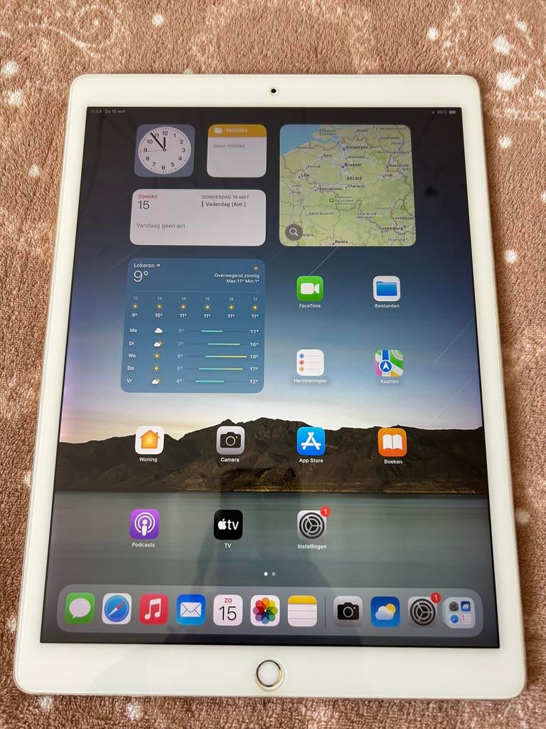 iPad Pro 13inch Gold 256gb Goud glas protector, Computers en Software, 13 inch of meer, Ophalen of Verzenden, Zo goed als nieuw