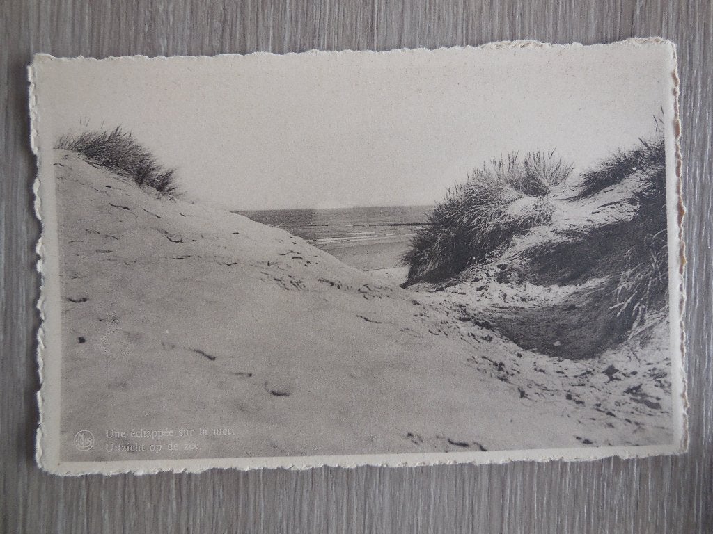 postkaart Blankenberge Duinen, Verzamelen, Ophalen of Verzenden, 1940 tot 1960, Ongelopen, West-Vlaanderen