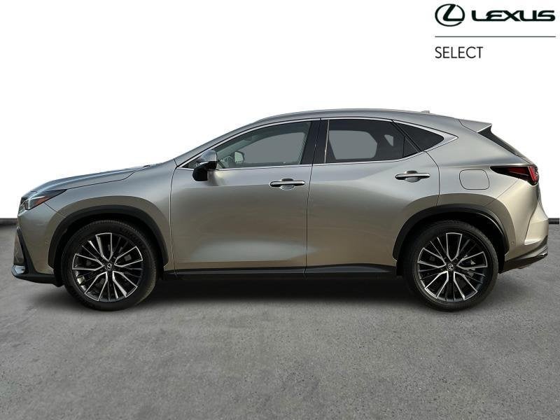 Lexus NX PHEV AWD Privilege | sunroof | tow bar, Autos, Lexus, Electronic Stability Program (ESP), Achat, 2487 cm³, Euro 6