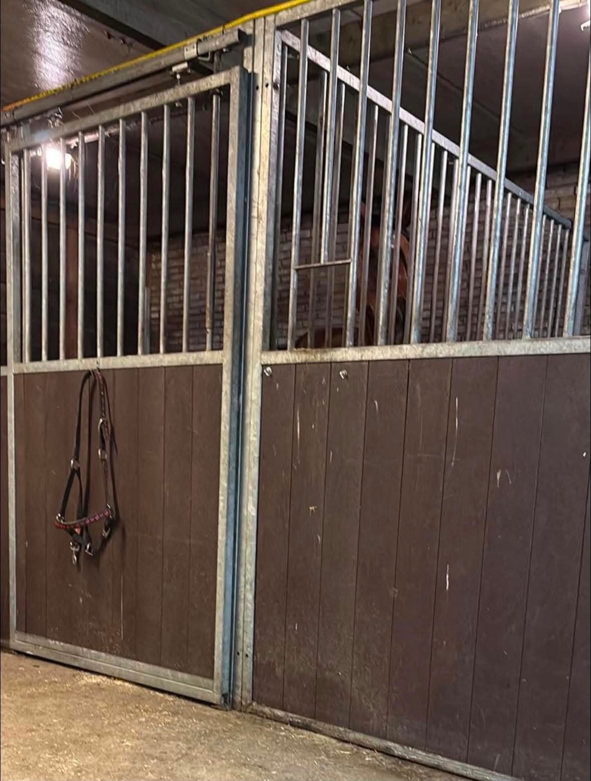 rustige buitenstalling regio Hasselt (Plek vrij per direct)., Animaux & Accessoires, Box & Pâturages, 1 cheval ou poney