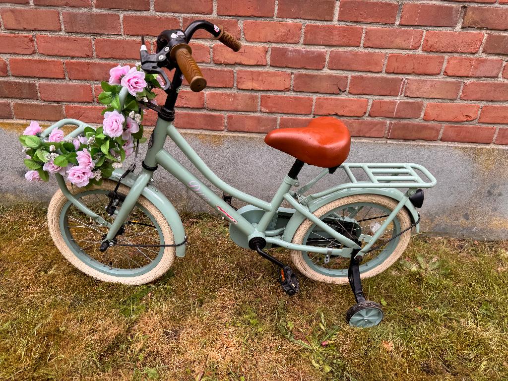 Groene kinderfiets (16inch) Diva, Fietsen en Brommers, Fietsen | Meisjes, Zo goed als nieuw, 16 inch, Velgrem, Ophalen