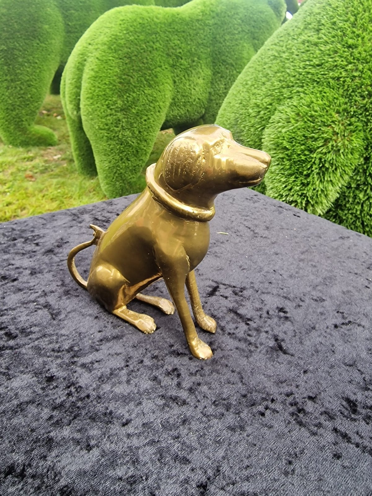 Chien en laiton, Enlèvement ou Envoi
