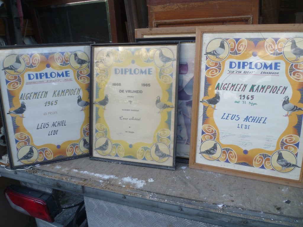 6 OUDE KADERS DUIVENSPORT JAREN 60, Antiek en Kunst, Ophalen