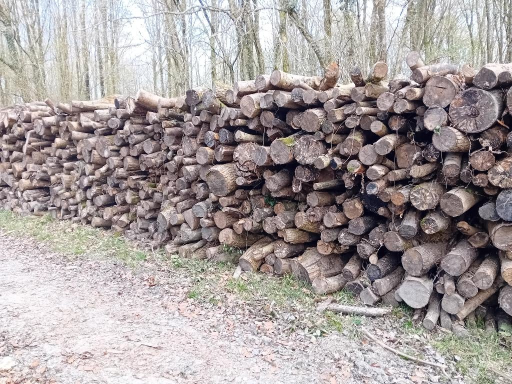 Bois de chauffage 2 mètres, 6 m³ of meer, Ophalen of Verzenden, Eikenhout, Blokken