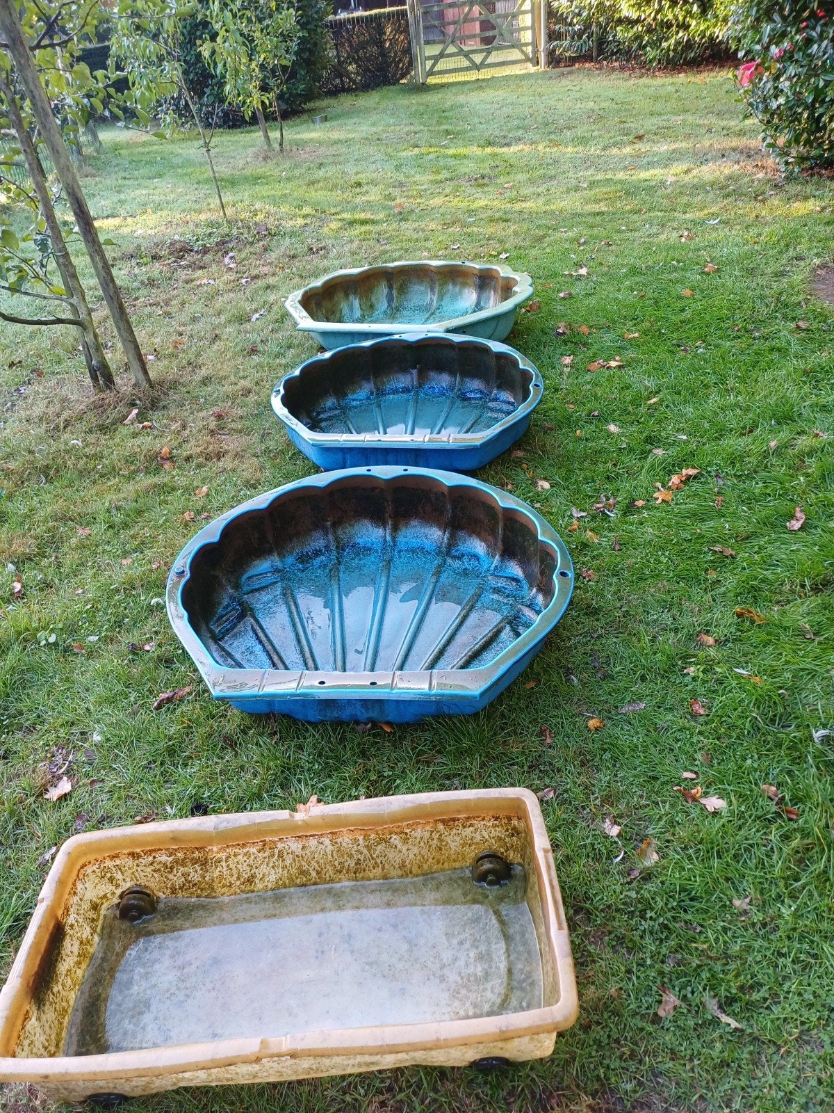 gratis schelpen, Dieren en Toebehoren, Ophalen