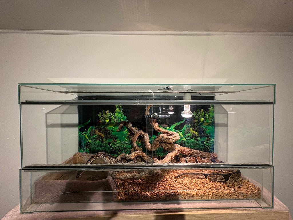 Vivarium complet, Enlèvement, Comme neuf
