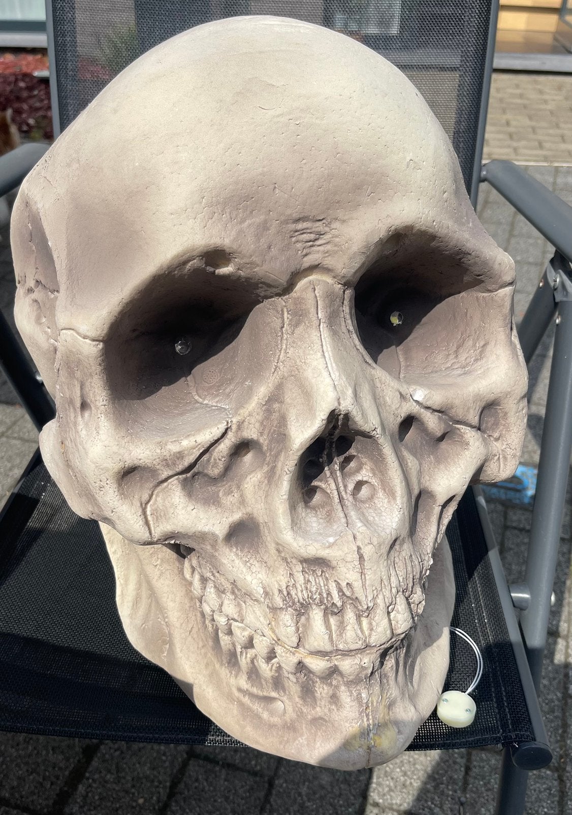 Halloween, Enlèvement, Comme neuf
