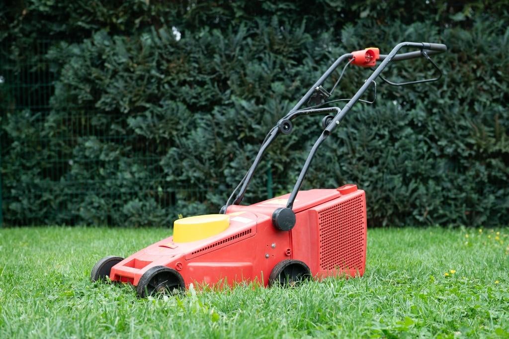 Tondeuse électrique WOLF-Garten 6.36 E, WOLF Garten, 30 à 39 cm, Enlèvement, Utilisé
