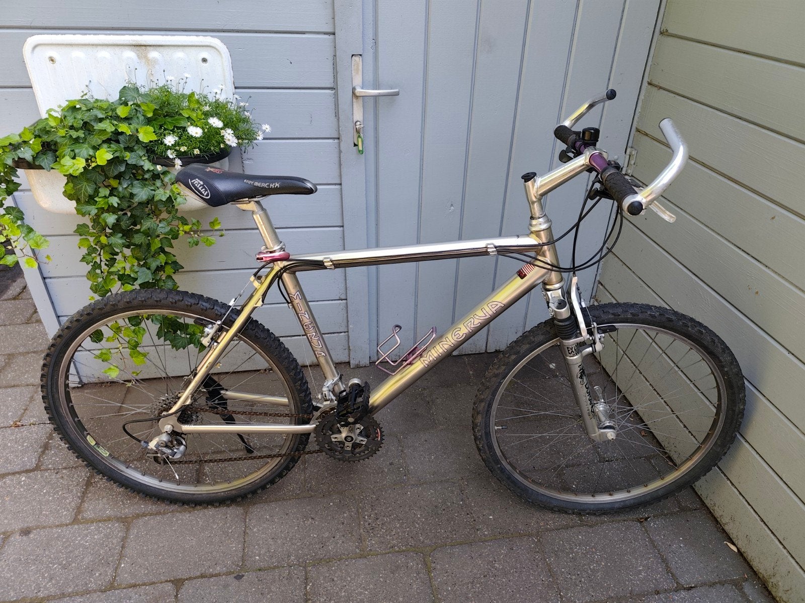MTB MINERVA, Enlèvement