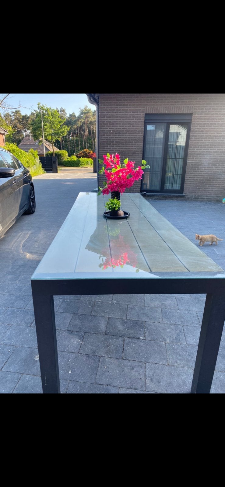 Tuin tafel, Tuin en Terras, Tuintafels, Ophalen, Gebruikt, Rechthoekig, Metaal