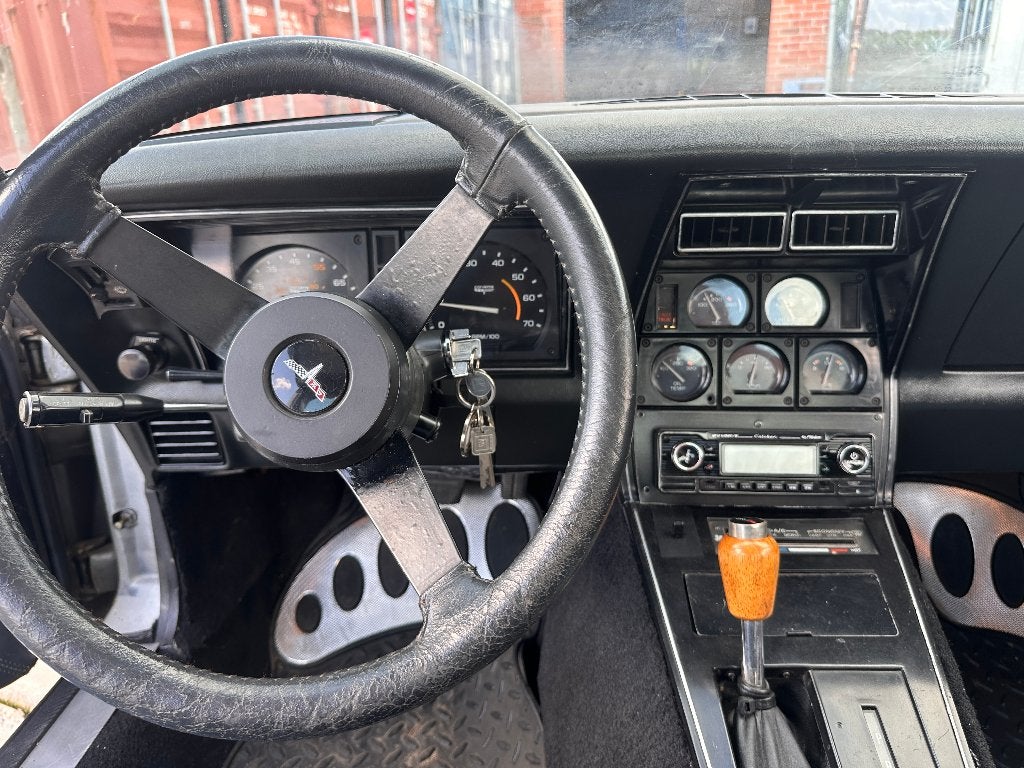 1981 Chevrolet Corvette C3, foto 9