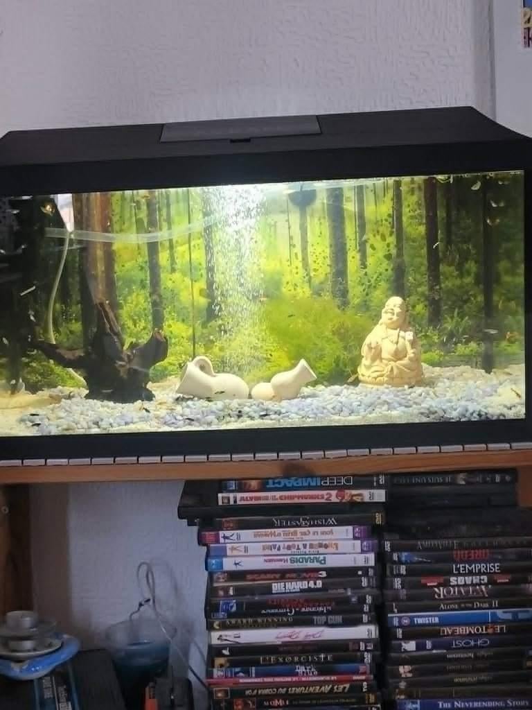 aquarium de 60 l avec accesoir lamp pompe  et autre lire svp, Aquarium d'eau douce rempli, Comme neuf, Enlèvement, Aquael