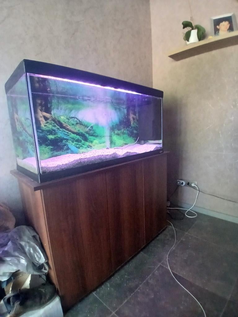 Aquarium avec armoire et accessoires, Enlèvement, Filter