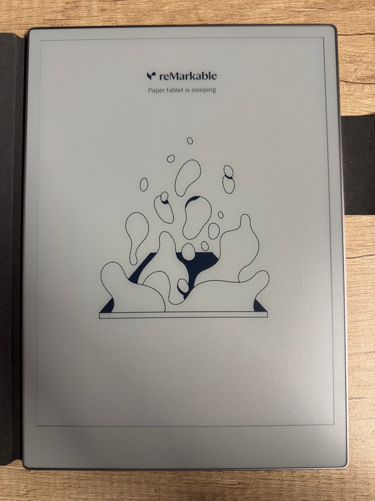 reMarkable Paper Pro - comme neuve, avec étui et Marker Pro, Enlèvement, Comme neuf