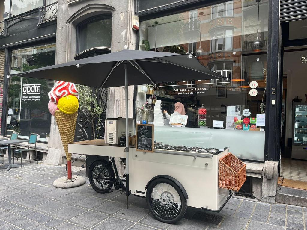 Chariot à glace professionnel sur vélo – Équipement complet, Articles professionnels, Stock & Retail | Voitures, Enlèvement