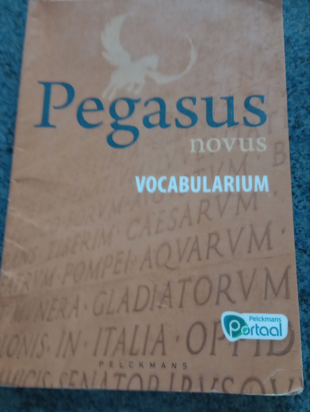 Pegasus Nibud Vocabularium, Boeken, Ophalen of Verzenden, Zo goed als nieuw, ASO, Pelckmans