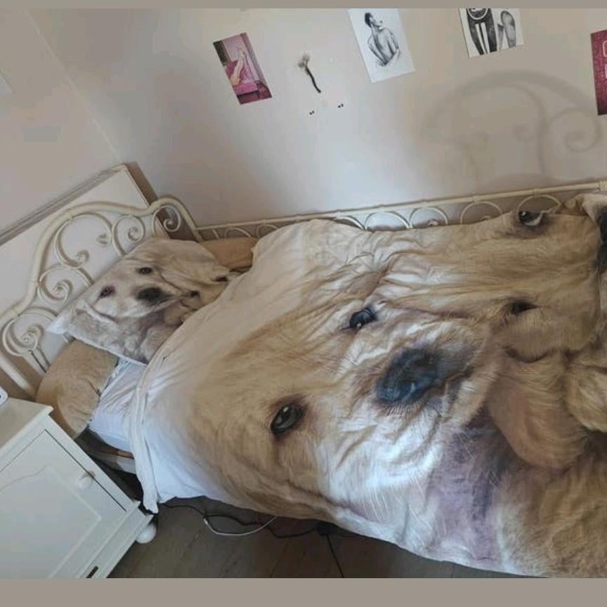 Bankbed Juliette maison DU monde, Huis en Inrichting, Slaapkamer | Slaapbanken, Ophalen