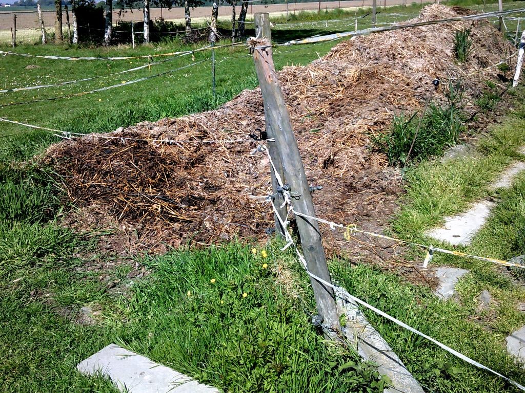 A DONNER fumier de cheval et poneys, Enlèvement, Fumier