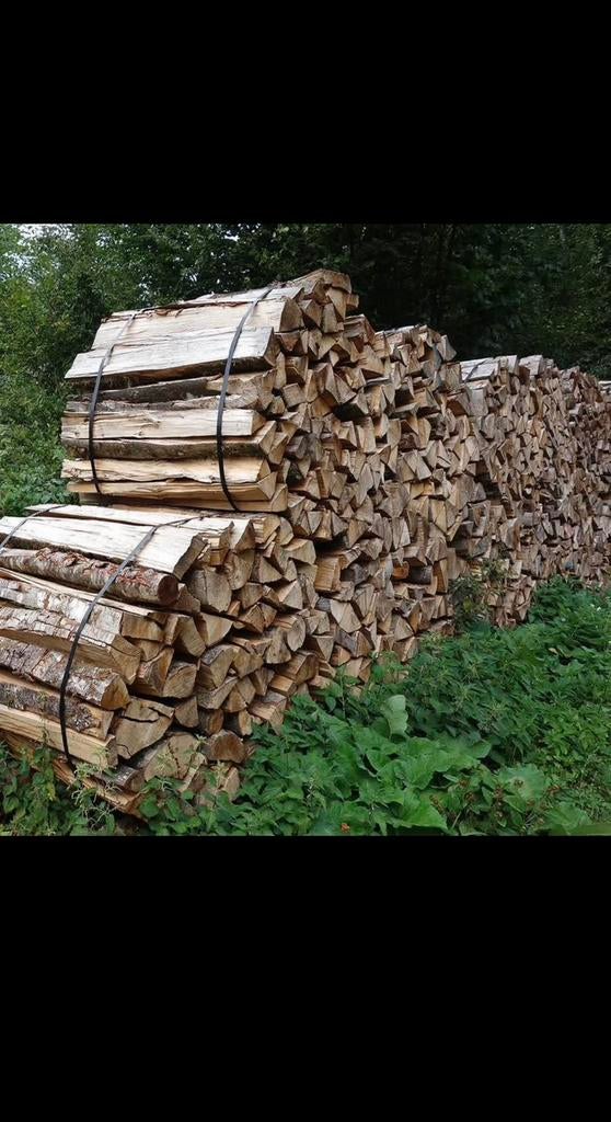 Bois de chauffage, Tuin en Terras, Brandhout, Ophalen, Beukenhout