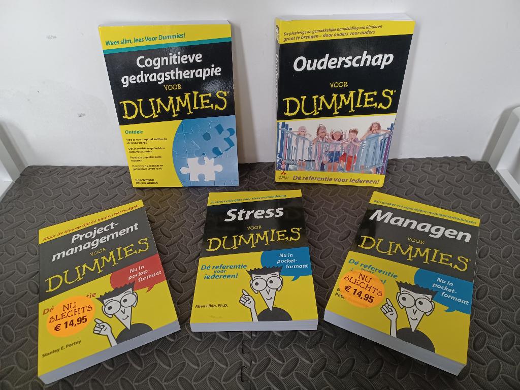 Verscheidene boeken For Dummies, Livres, Conseil, Aide & Formation, Enlèvement, Comme neuf