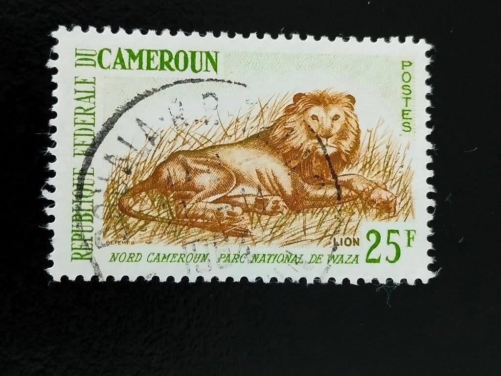 Cameroun 1964 - Parc national de Waza, lion, Envoi, Autres pays, Affranchi